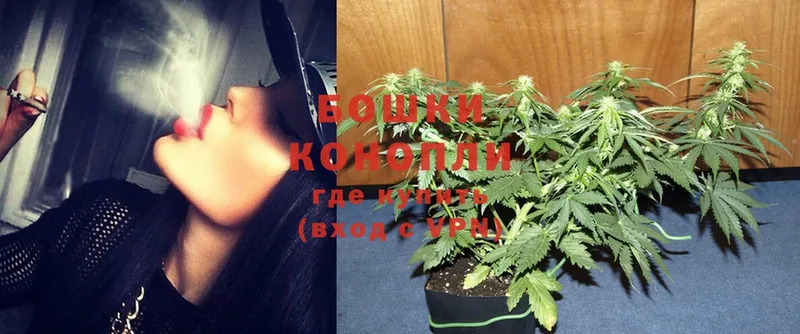 Конопля OG Kush  где купить наркоту  ссылка на мегу вход  Качканар 